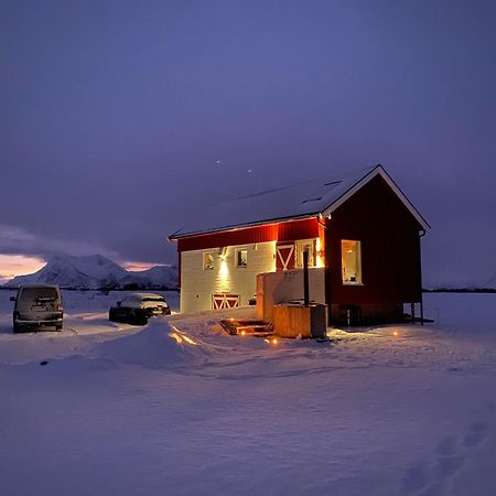 Unique Barnhouse In Amazing Gimsoy In Lofoten Saupstad  Экстерьер фото